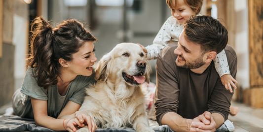 The Best Shampoo for Dogs With Sensitive Skin: A Complete Guide for Pet Parents
